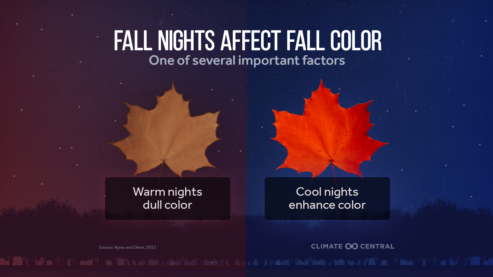Infographic: Impacts to fall color (Arizona)