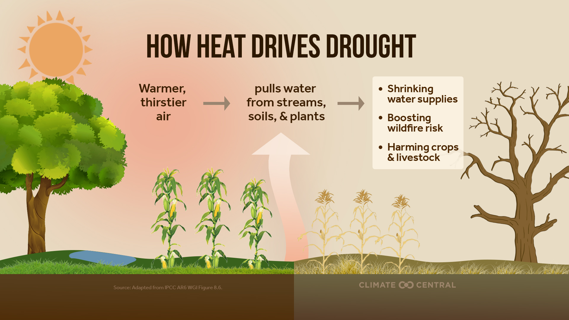 Infographic: Worsening drought (Arizona)
